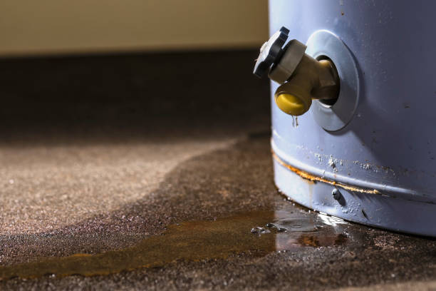 Fire Damage Restoration in Linden, MI