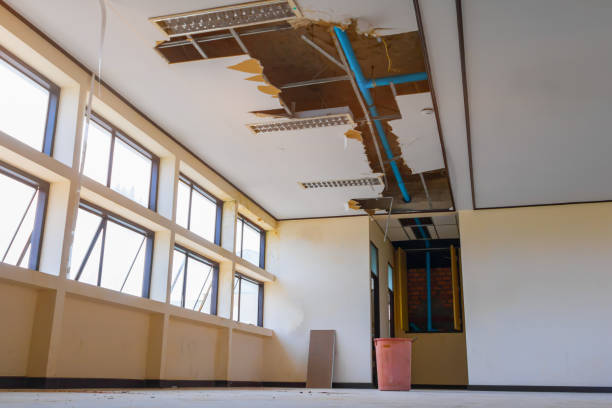 Best Water damage repair service  in Linden, MI