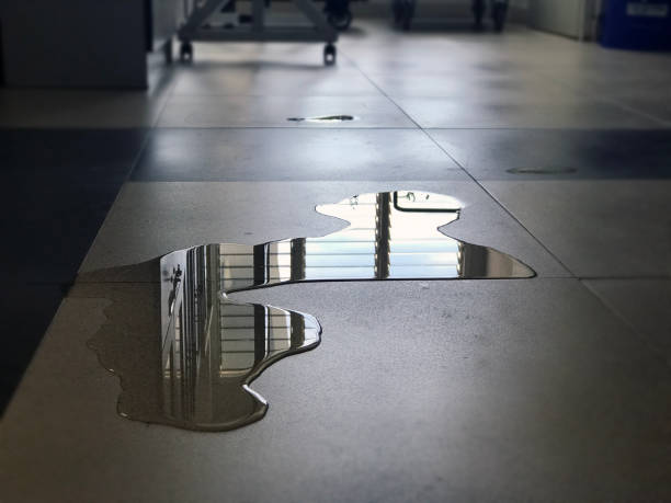 Best Local water damage restoration  in Linden, MI