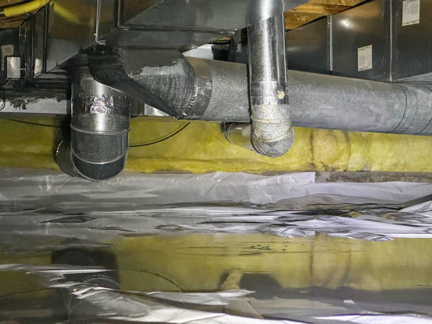 Best Fire Damage Restoration  in Linden, MI