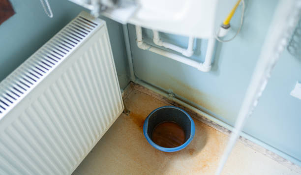 Best Water damage restoration near me  in Linden, MI