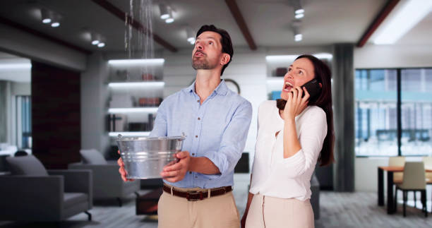Best Flooded house restoration  in Linden, MI