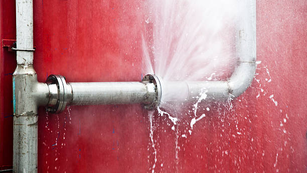 Best Flood restoration services  in Linden, MI