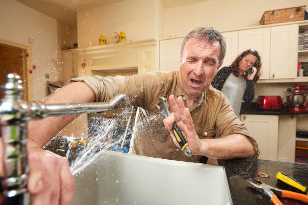 Best Sewage cleanup and water damage restoration  in Linden, MI
